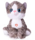 PLUSH CAT 30 CM + SOUND GRAY/ORANGE Amek toys