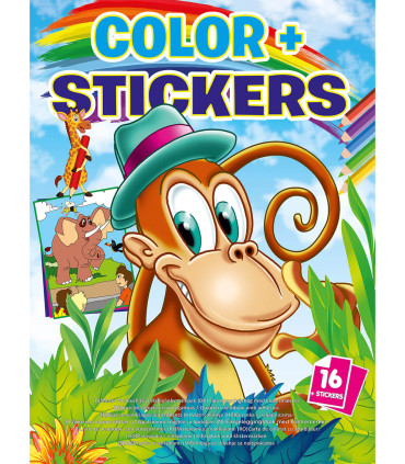 CARTE DE COLORAT COLOR + STICKERE 16 PAGINI 4 TIPURI Boek Specials Nederland bv