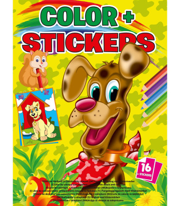 CARTE DE COLORAT COLOR + STICKERE 16 PAGINI 4 TIPURI Boek Specials Nederland bv