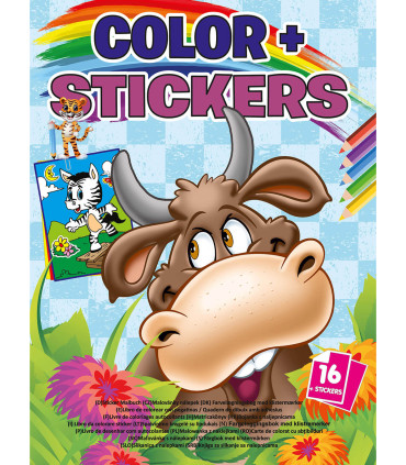 CARTE DE COLORAT COLOR + STICKERE 16 PAGINI 4 TIPURI Boek Specials Nederland bv