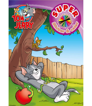 CARTE DE COLORAT + STICKERE WARNER BROS EROI 32 PAGINI 6 TIPURI Boek Specials Nederland bv