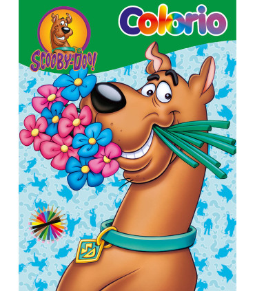 CARTE DE COLORAT COLORIO WARNER BROS EROI 32 PAGINI 6 TIPURI Boek Specials Nederland bv