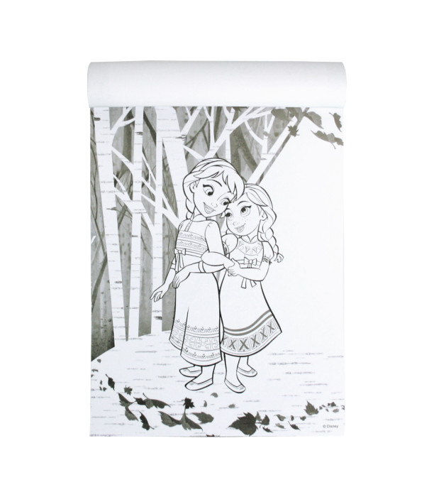 CARNET CAIET DE COLORAT DISNEY MAGIA COLORIDA 96 PAGINI 4 TIPURI Europrice