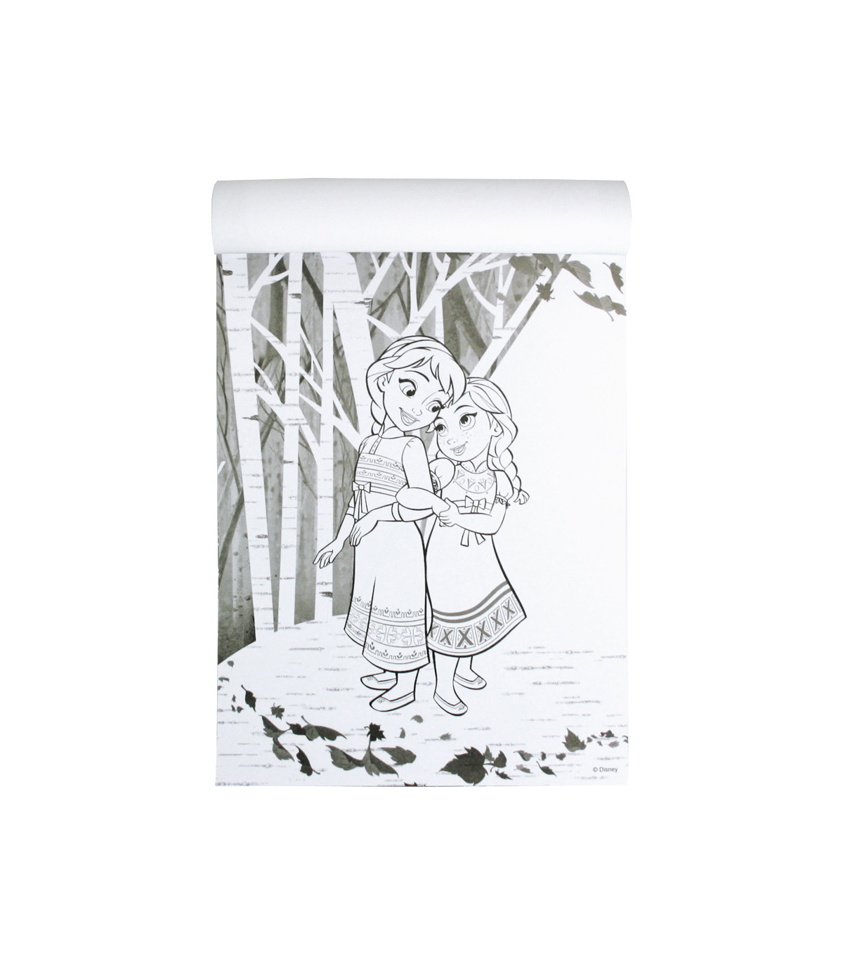 CARNET CAIET DE COLORAT DISNEY MAGIA COLORIDA 96 PAGINI 4 TIPURI Europrice