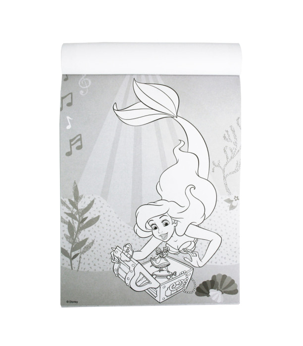 CARNET CAIET DE COLORAT DISNEY MAGIA COLORIDA 96 PAGINI 4 TIPURI Europrice