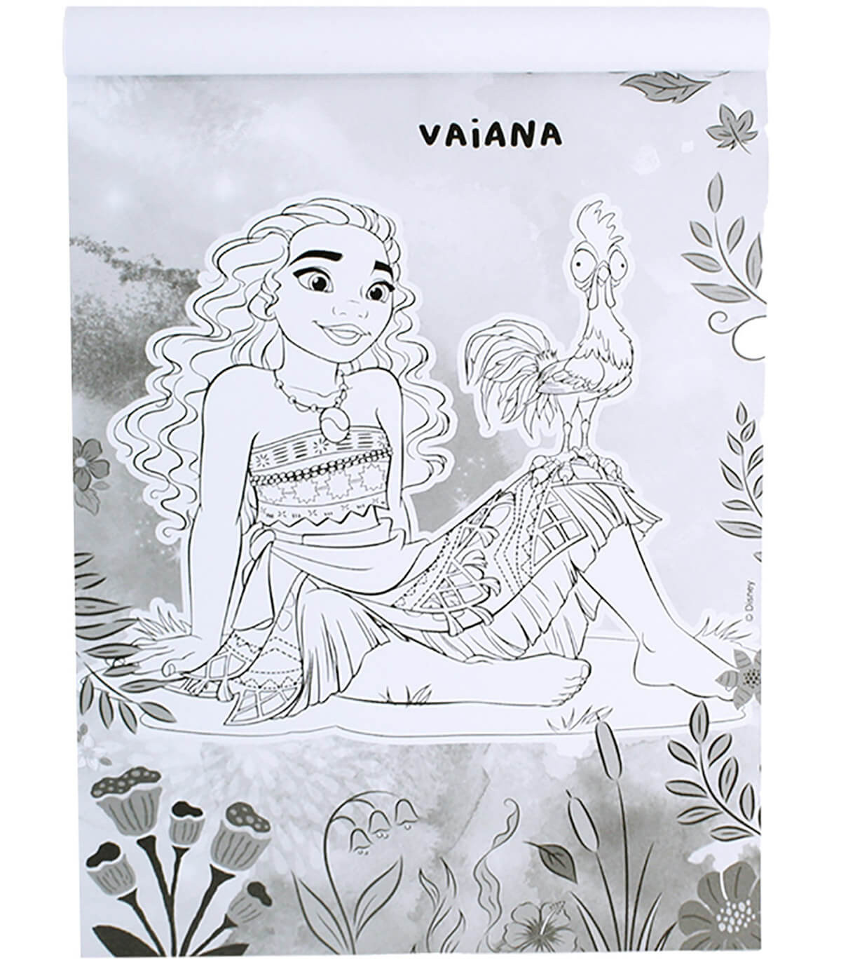 CARNET CAIET DE COLORAT DISNEY ARTE COLORIDA 64 PAGINI 4 TIPURI Europrice