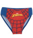 CHILDREN'S SWIM BRIEFS SPIDERMAN 3-7 YEARS Cerda