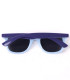 CHILDREN'S SUNGLASSES WITH BLUEY CASE Cerda