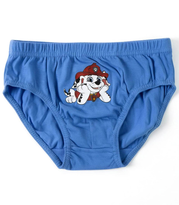 BOYS' UNDERWEAR 5 PCS IN PAW PATROL BAG 2-8 YEARS Cerda