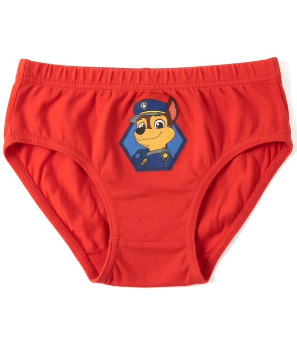 BOYS' UNDERWEAR 5 PCS IN PAW PATROL BAG 2-8 YEARS Cerda