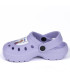 CHILDREN'S CLOGS CROCS FROZEN 2 COLORS 24-31 Cerda