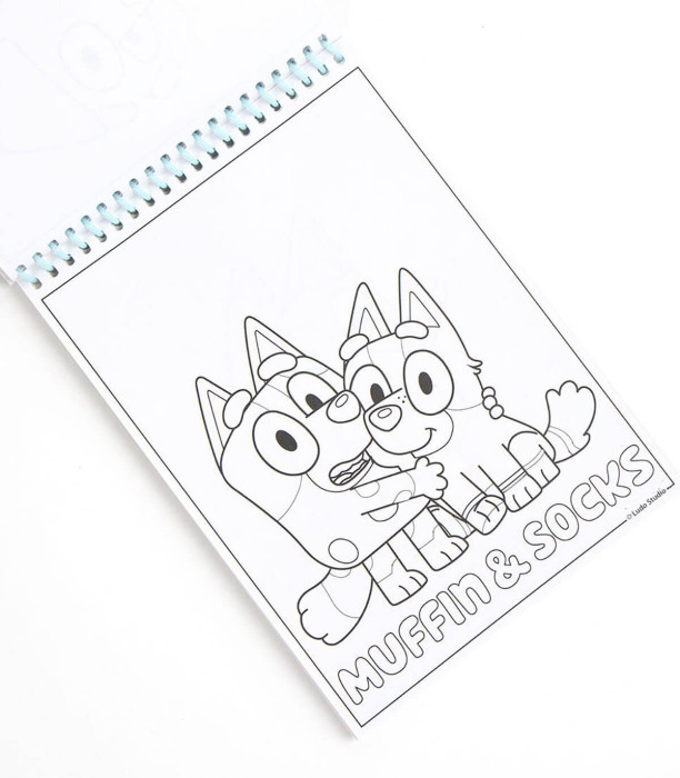 SET DE DESEN CU CARNET ȘI STICKERE BLUEY Cerda