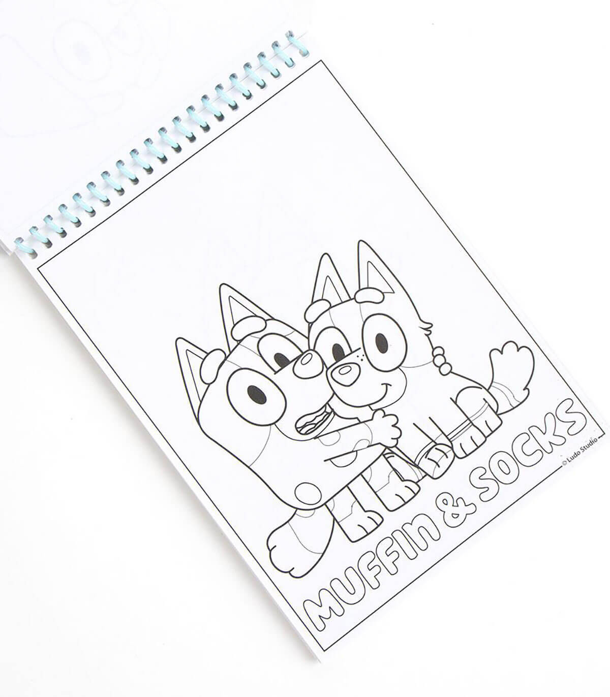 SET DE DESEN CU CARNET ȘI STICKERE BLUEY Cerda