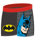 BOXERI DE BAIE PENTRU COPII BATMAN 4-6-8 ANI Arditex