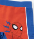 BOXERI DE ÎNOT PENTRU COPII SPIDERMAN 3-8 ANI Cerda