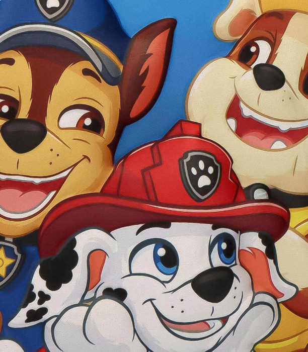 GEANTĂ TERMICĂ 3D PENTRU COPII PAW PATROL