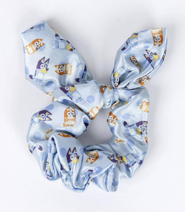 SCRUNCHIE ELASTICS WITH 2 HAIR CLIPS AND BLUEY NECKLACE