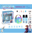 2 MICROFOANE KARAOKE CU BOXĂ FROZEN