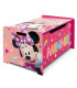 CUTIE DIN LEMN PENTRU JUCĂRII MINNIE