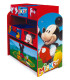 ORGANIZATOR CU 6 COMPARTIMENTE MICKEY