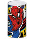 PUȘCULIȚĂ METALICĂ 10x10x17,5 CM SPIDERMAN