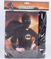 SUPERHERO SUIT