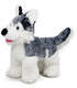 CÂINE HUSKY DE PLUȘ 24 CM - Mici