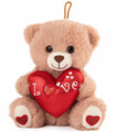 TEDDY BEAR WITH HEART 3 COLORS 25 CM