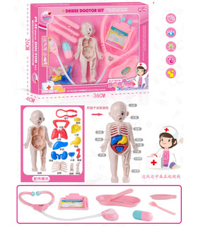 DOCTOR KIT HUMAN ANATOMY - MEDICAL
