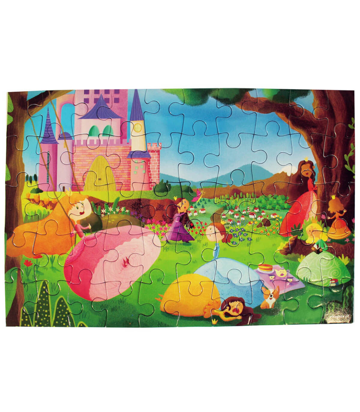PUZZLE PRINTESE 50 DE PIESE - PUZZLE ȘI CUBURI