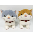 PLUSH CAT WITH LEASH 30 CM 2 COLORS