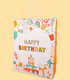 HAPPY BIRTHDAY GIFT BAG - PACKAGING AND BATTERIES