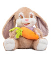 PLUSH RABBIT WITH T-SHIRT AND CARROT 45 CM