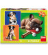 PUZZLE PENTRU COPII CÂINI 3X55 PIESE - PUZZLE ȘI CUBURI