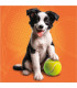 CHILDREN'S PUZZLE DOGS 3X55 PIECES - PUZZLES AND CUBES