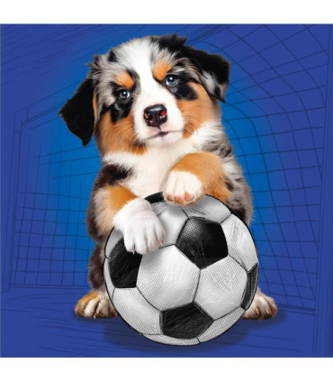 PUZZLE PENTRU COPII CÂINI 3X55 PIESE - PUZZLE ȘI CUBURI