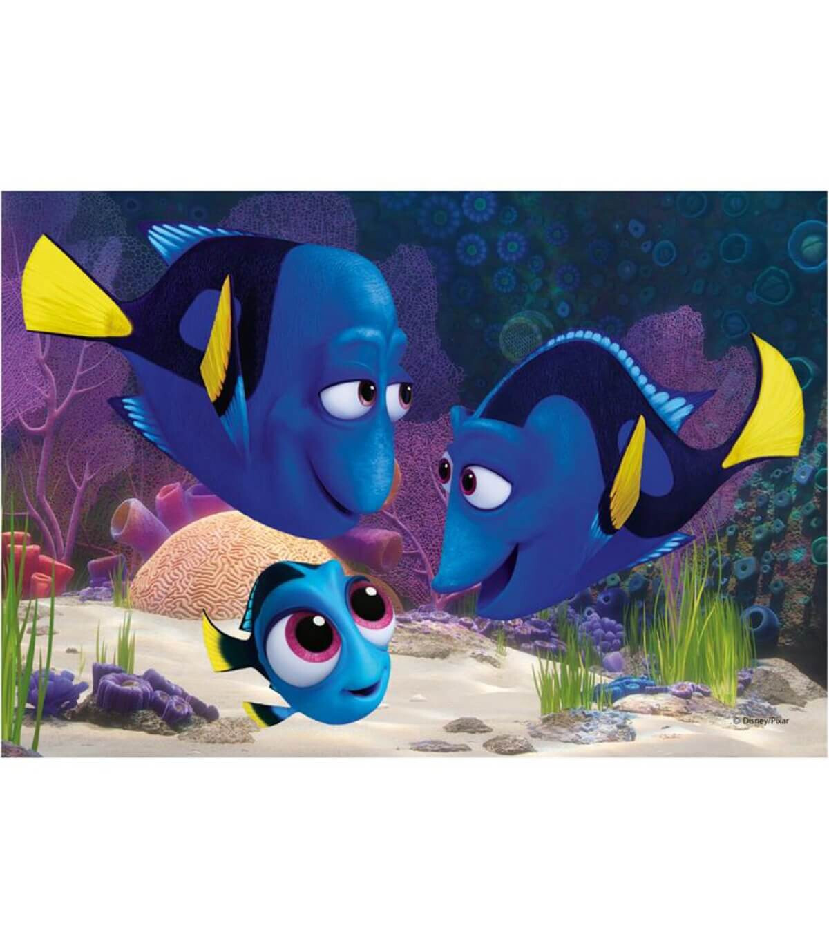 PUZZLE PENTRU COPII DORY & NEMO 2X77 PIESE - PUZZLE ȘI CUBURI
