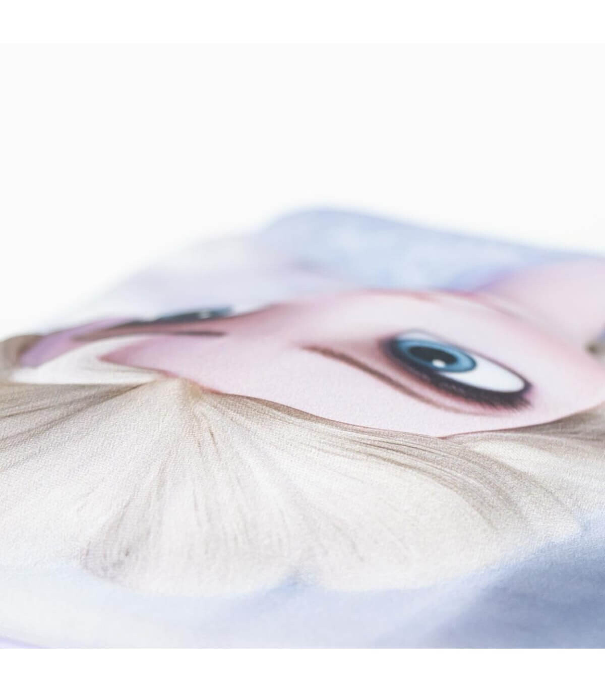RANDBUCĂ PENTRU COPII 3D FROZEN CU PLĂCĂTĂ 27 CM Cerda