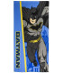 BATMAN CHILDREN'S TOWEL 70*140 Cerda