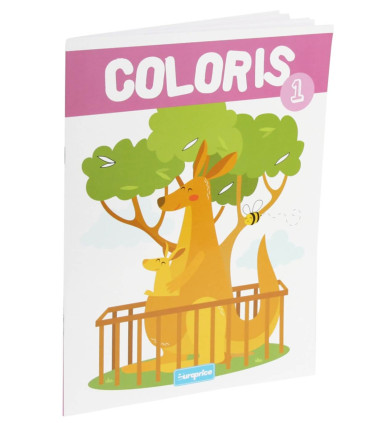 CARTE DE COLORAT 16 PAGINI COLORIS 5 TIPURI Europrice